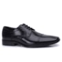 Sapato Masculino Democrata Vega 055201